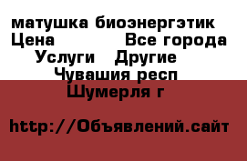 матушка-биоэнергэтик › Цена ­ 1 500 - Все города Услуги » Другие   . Чувашия респ.,Шумерля г.